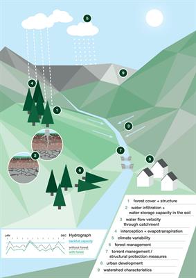An Approach to Evaluate Mountain Forest Protection and Management as a Means for Flood Mitigation
